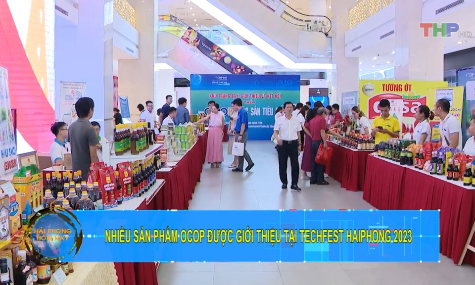 Bản tin Hải Ph&ograve;ng h&ocirc;m nay trưa (19/9/2023)