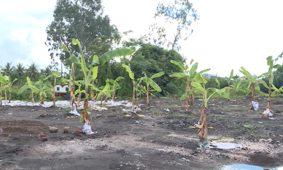 Gi&aacute;m s&aacute;t thực hiện quy định của ph&aacute;p luật về bảo vệ m&ocirc;i trường