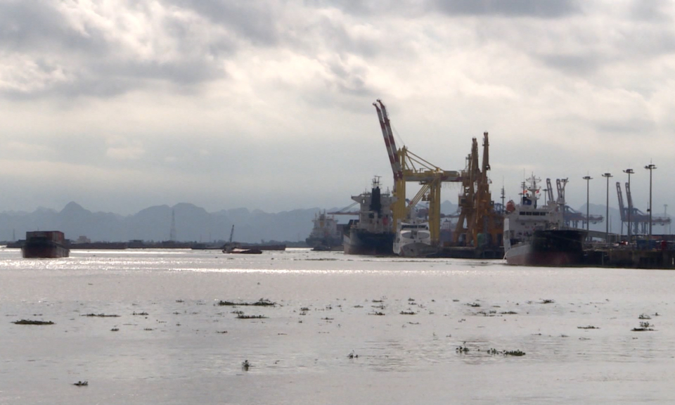 Hải Ph&ograve;ng: Hiệu ứng t&iacute;ch cực do giảm ph&iacute; hạ tầng cảng biển