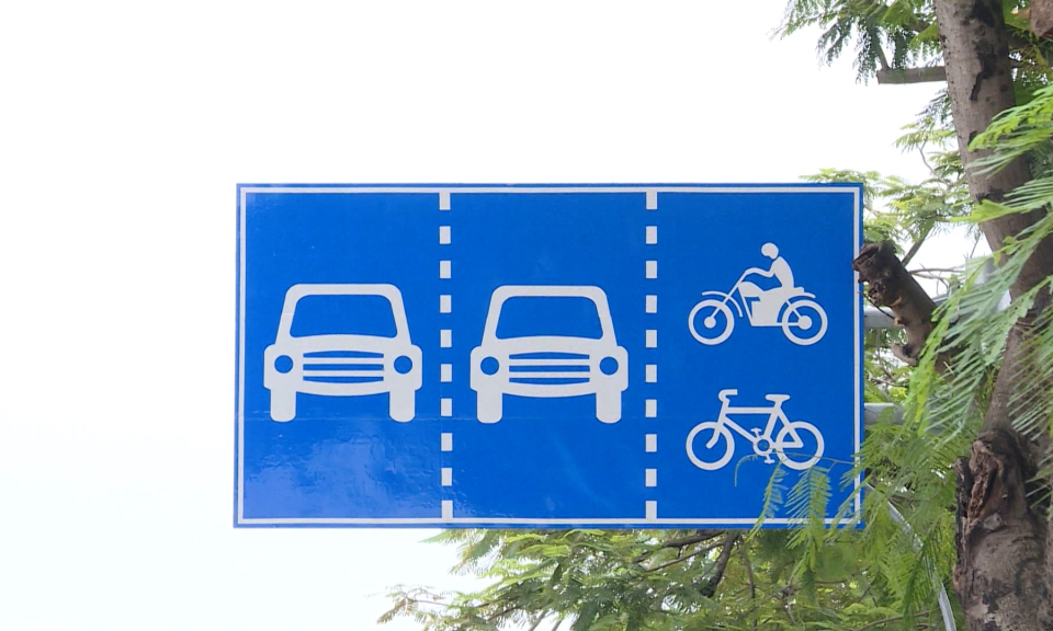 Khắc phục t&igrave;nh trạng c&acirc;y xanh che khuất biển b&aacute;o giao th&ocirc;ng