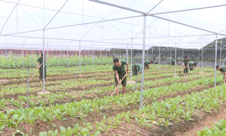 Quốc ph&ograve;ng địa phương: N&acirc;ng cao chất lượng, hiệu quả c&ocirc;ng t&aacute;c hậu cần, kỹ thuật