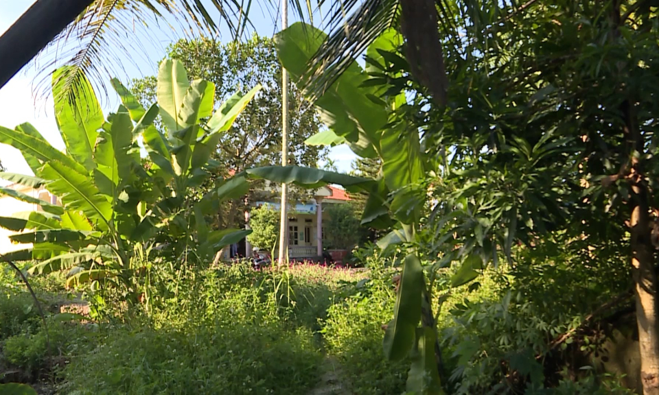 Hộp thư truyền h&igrave;nh: Vụ việc xử l&yacute; c&ocirc;ng tr&igrave;nh x&acirc;y dựng tại x&atilde; Kiền B&aacute;i, huyện Thủy Nguy&ecirc;n  