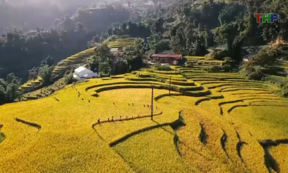 Bản tin Hải Ph&ograve;ng kết nối (27/9/2023)