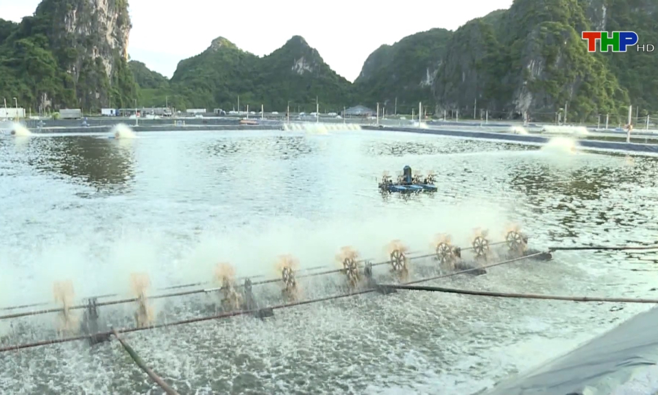 Bản tin Hải Ph&ograve;ng kết nối (03/10/2023)