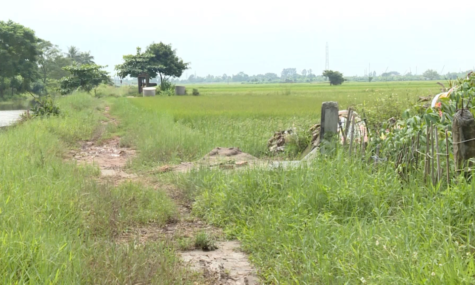 Ph&aacute;p luật v&agrave; cuộc sống: Bất cập trong quản l&yacute; Nghĩa trang nh&acirc;n d&acirc;n