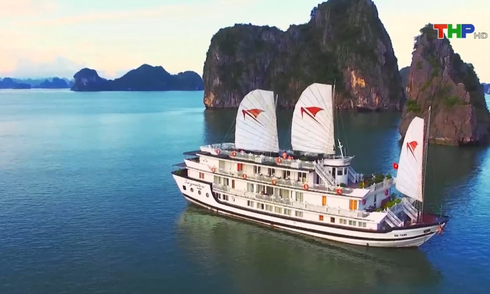 Bản tin Hải Ph&ograve;ng h&ocirc;m nay trưa (05/10/2023)