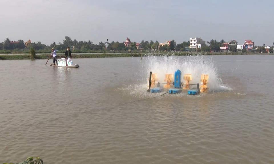 N&ocirc;ng th&ocirc;n mới Hải Ph&ograve;ng: Đổi mới, n&acirc;ng cao hiệu quả sản xuất n&ocirc;ng nghiệp