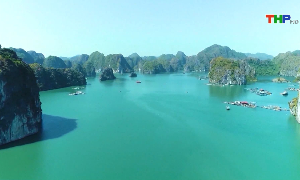 Bản tin Hải Ph&ograve;ng h&ocirc;m nay trưa (07/10/2023)