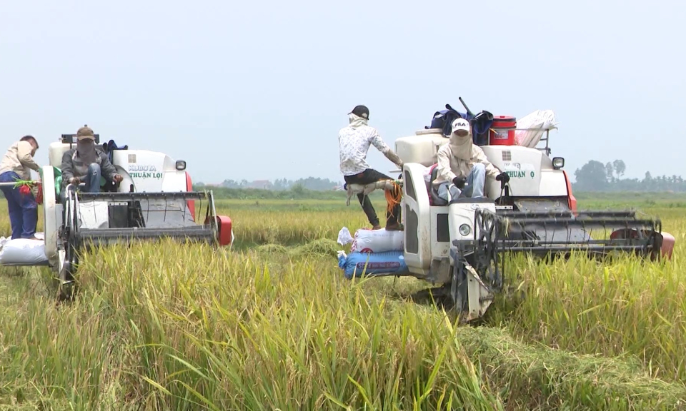 Kinh tế v&agrave; đ&ocirc; thị: Những đơn vị ti&ecirc;u biểu trong ph&aacute;t triển kinh tế tập thể th&agrave;nh phố