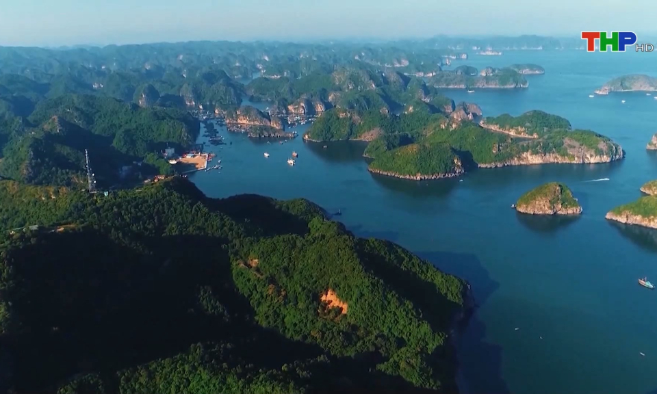 Bản tin Hải Ph&ograve;ng h&ocirc;m nay trưa (09/10/2023)