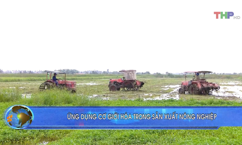 Bản tin thời sự trưa (11/10/2023)