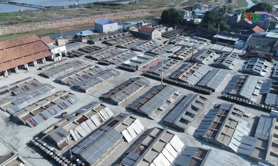 Bản tin thời sự sáng (13/10/2023)