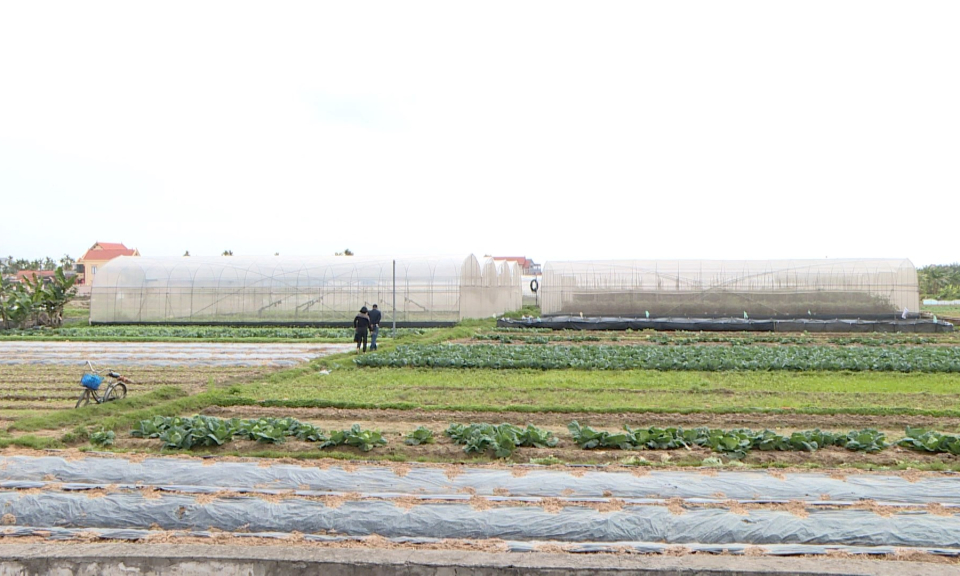 Khoa học, c&ocirc;ng nghệ v&agrave; đời sống: Ứng dụng c&ocirc;ng nghệ sinh học phục vụ ph&aacute;t triển bền vững th&agrave;nh phố     