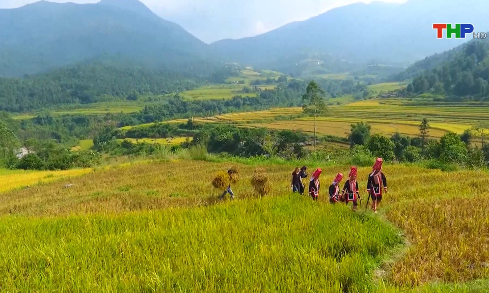 Bản tin Hải Ph&ograve;ng kết nối (13/10/2023)
