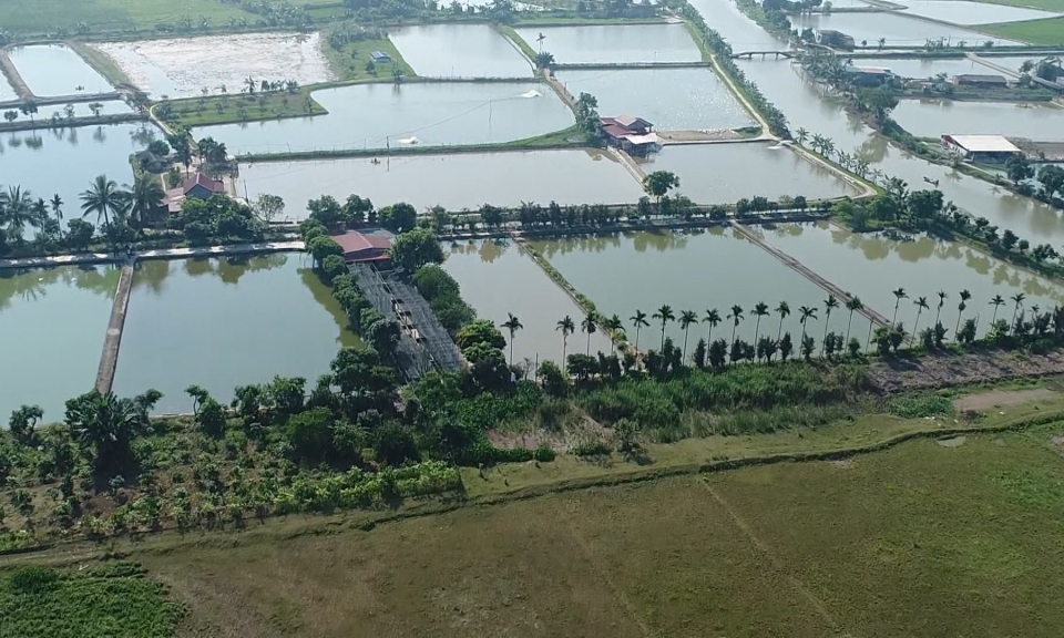 Ph&oacute;ng sự: Chuyển dịch cơ cấu n&ocirc;ng nghiệp theo hướng bền vững, hiệu quả 