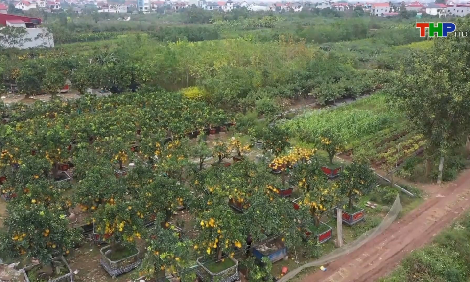 Bản tin Hải Ph&ograve;ng kết nối (17/10/2023)