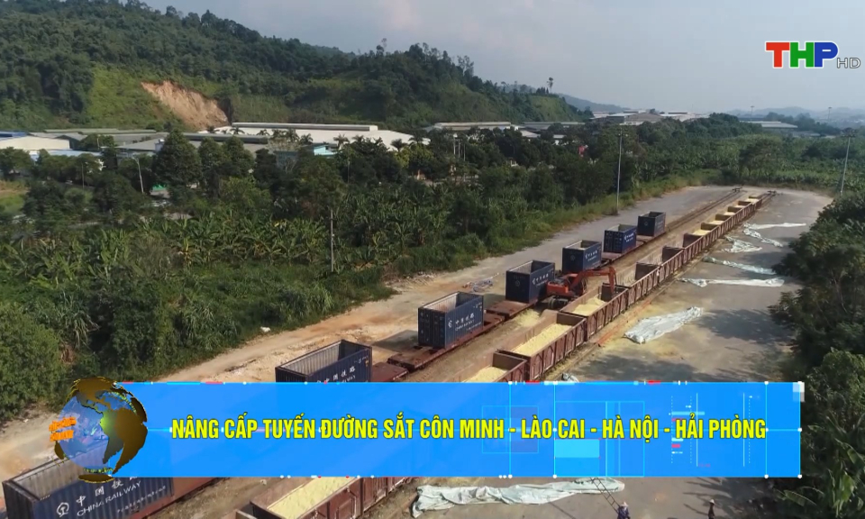 Bản tin Hải Ph&ograve;ng h&ocirc;m nay trưa (21/10/2023)