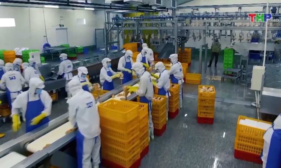 Hơn 116 ngh&igrave;n doanh nghiệp đăng k&yacute; th&agrave;nh lập mới