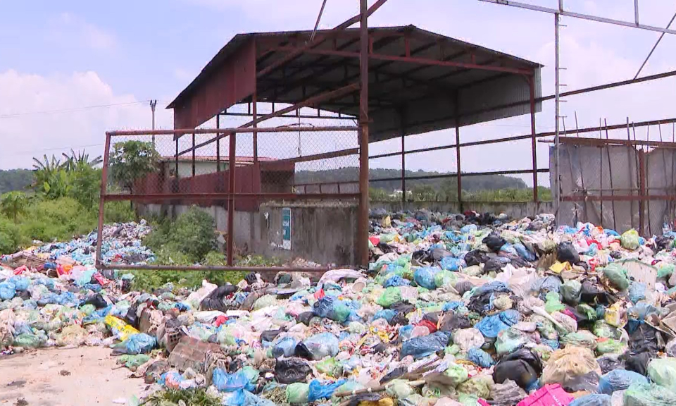 An sinh x&atilde; hội: N&acirc;ng cao &yacute; thức, tr&aacute;ch nhiệm giữ g&igrave;n v&agrave; bảo vệ m&ocirc;i trường     