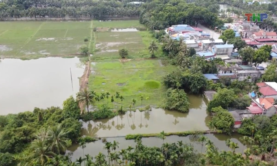 Bản tin tiếng Anh (25/10/2023)
