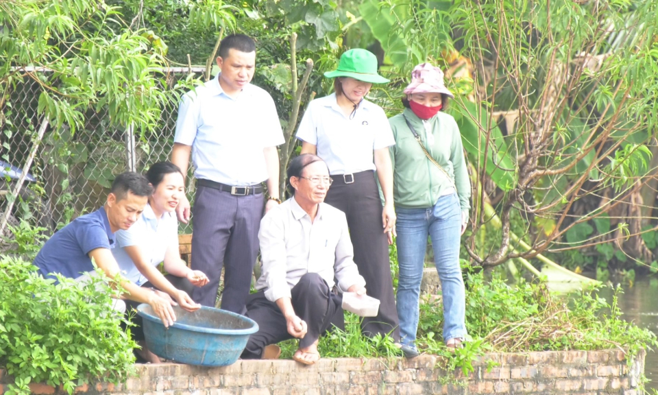 N&ocirc;ng th&ocirc;n mới Hải Ph&ograve;ng: Ph&aacute;t triển nu&ocirc;i trồng thủy sản bền vững  