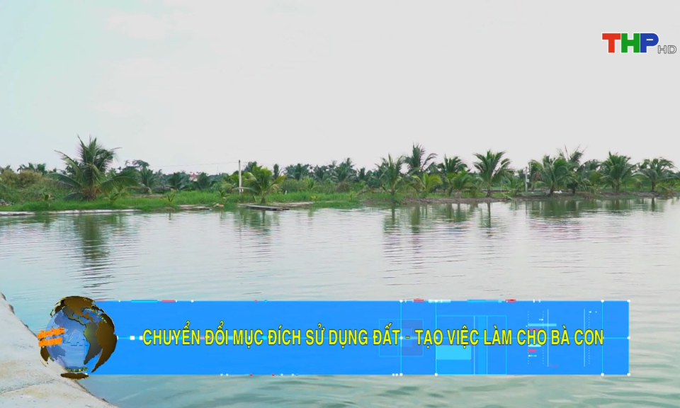 Bản tin Hải Ph&ograve;ng h&ocirc;m nay trưa (27/10/2023)