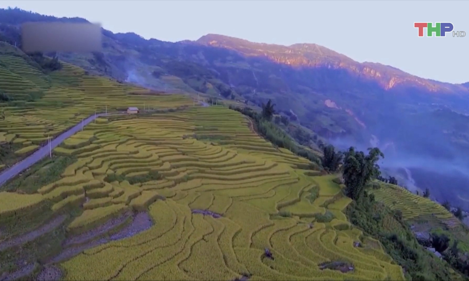 Bản tin thời sự trưa (28/10/2023)