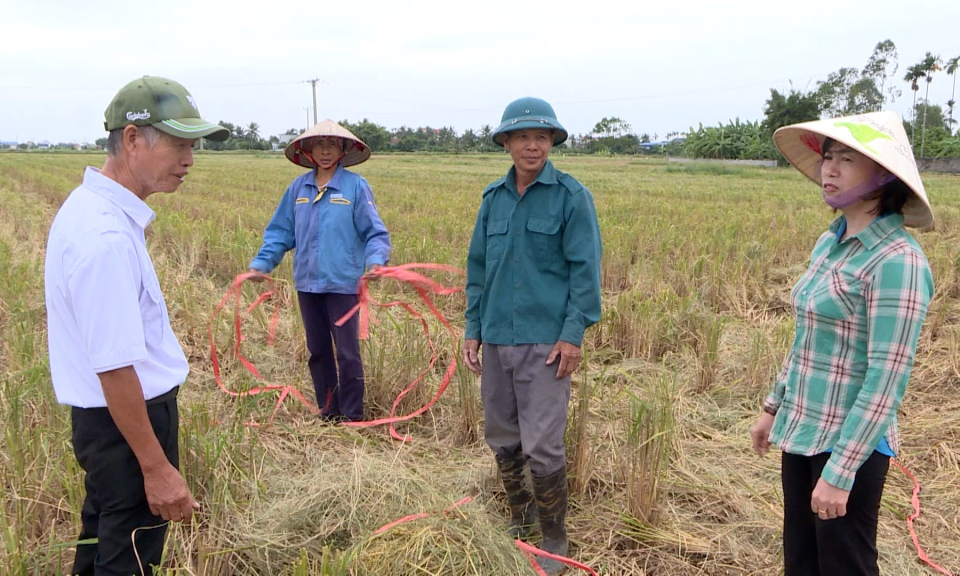 Học tập v&agrave; l&agrave;m theo tư tưởng đạo đức phong c&aacute;ch Hồ Ch&iacute; Minh: Những người khơi dậy nguồn lực trong d&acirc;n      