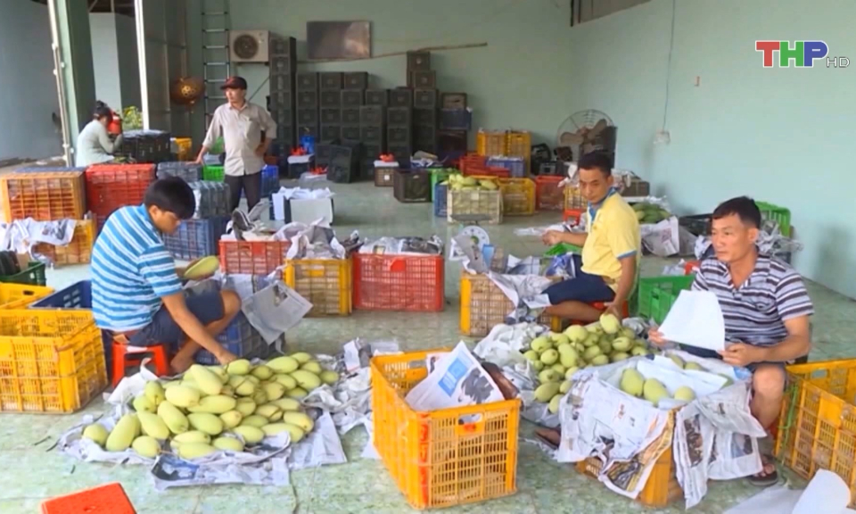 Xuất khẩu rau quả sẽ lập kỷ lục mới