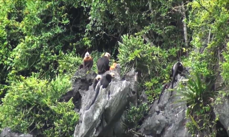 Bản tin Hải Ph&ograve;ng kết nối (01/11/2023)