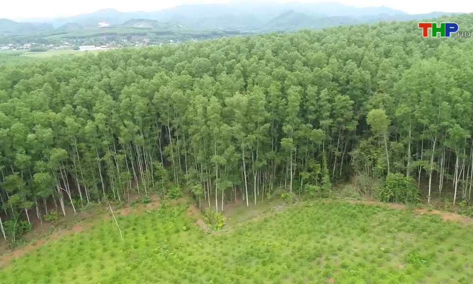 Bản tin Hải Ph&ograve;ng kết nối (06/11/2023)