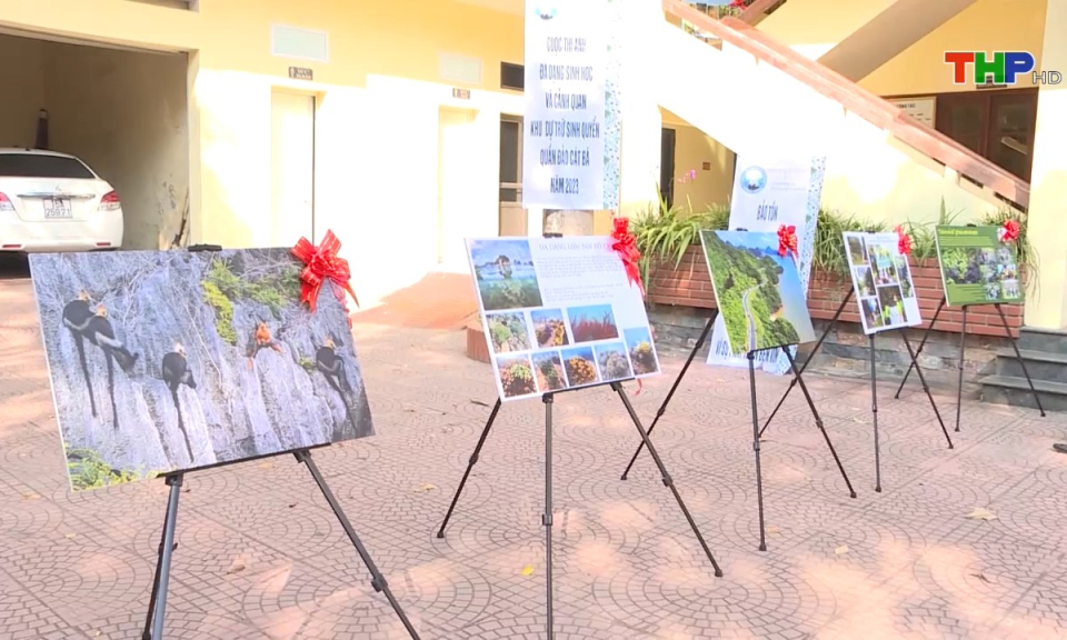 Bản tin thời sự trưa (07/11/2023)