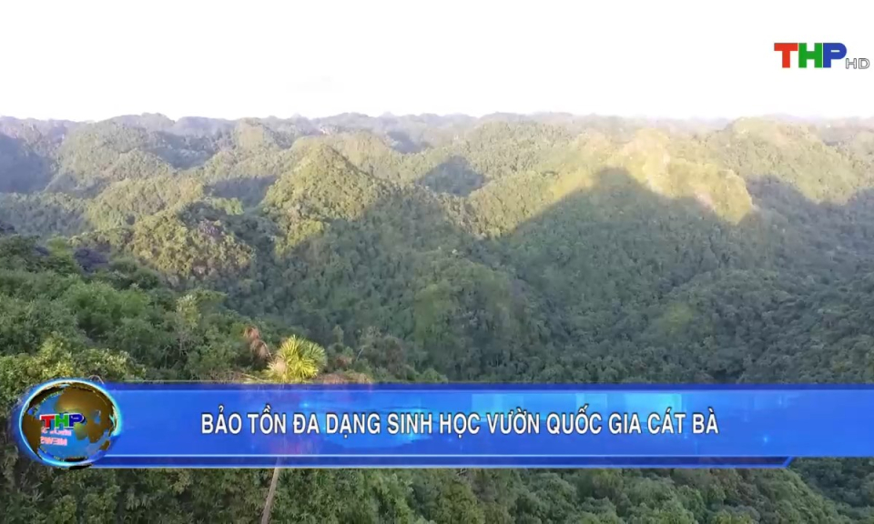 Bản tin thời sự s&aacute;ng (08/11/2023)