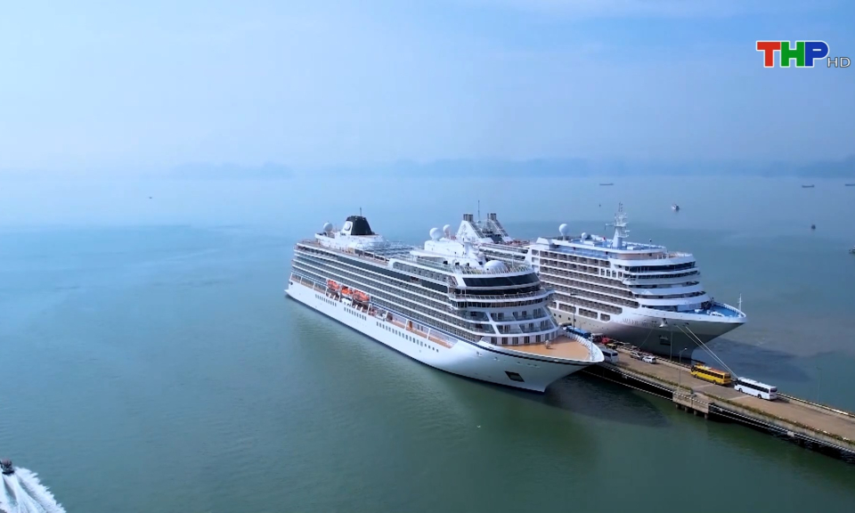 Bản tin Hải Ph&ograve;ng kết nối (08/11/2023)