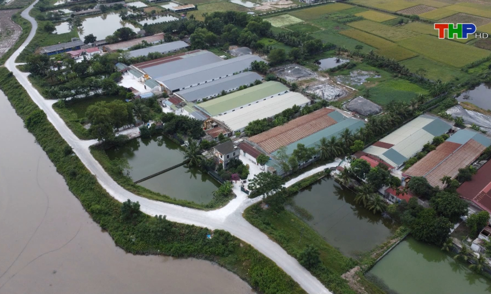 Bản tin thời sự tối (08/11/2023)