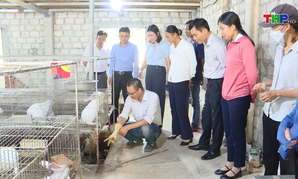 Hỗ trợ vật tư x&acirc;y dựng m&ocirc; h&igrave;nh xử l&yacute; r&aacute;c thải