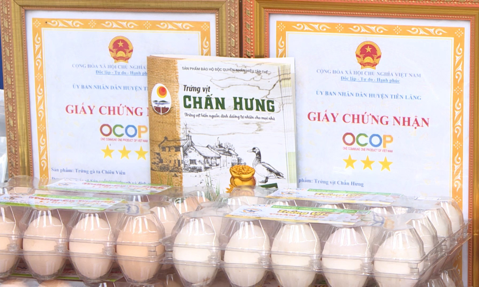 Kinh tế v&agrave; đ&ocirc; thị: Đẩy mạnh x&uacute;c tiến thương mại, x&acirc;y dựng thương hiệu cho c&aacute;c hợp t&aacute;c x&atilde;, doanh nghiệp