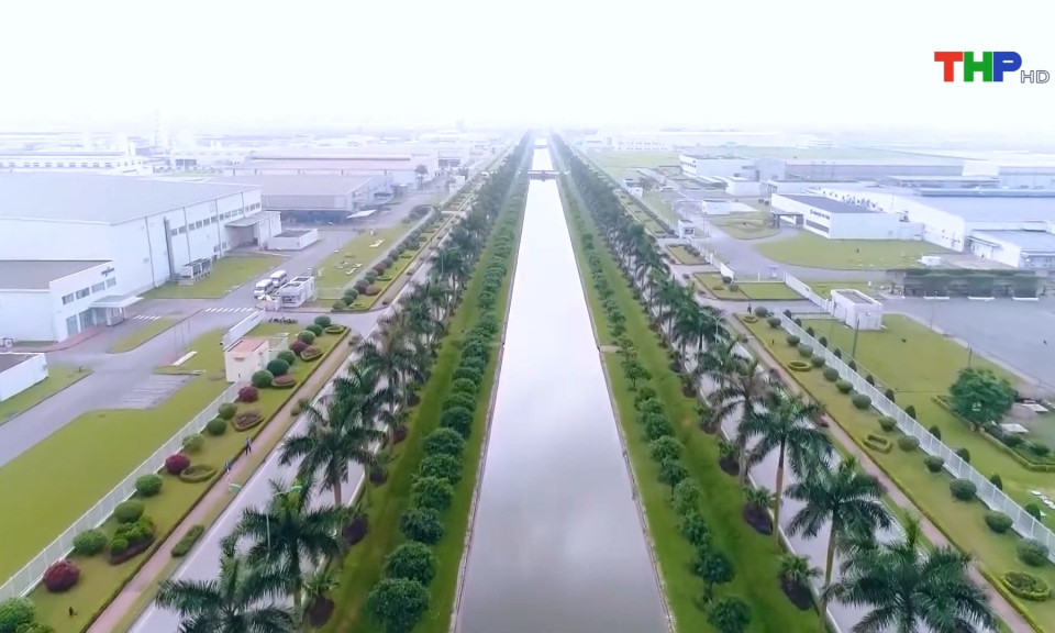 Bản tin Hải Ph&ograve;ng h&ocirc;m nay trưa (12/11/2023)