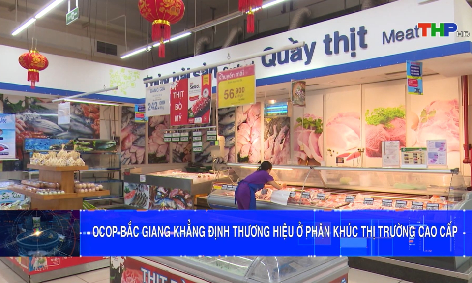 Bản tin Hải Ph&ograve;ng kết nối (12/11/2023)