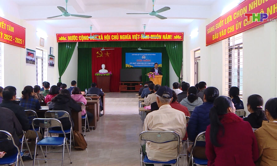 Đ&agrave;o tạo nh&acirc;n lực cho l&agrave;ng nghề trồng hoa, c&acirc;y cảnh