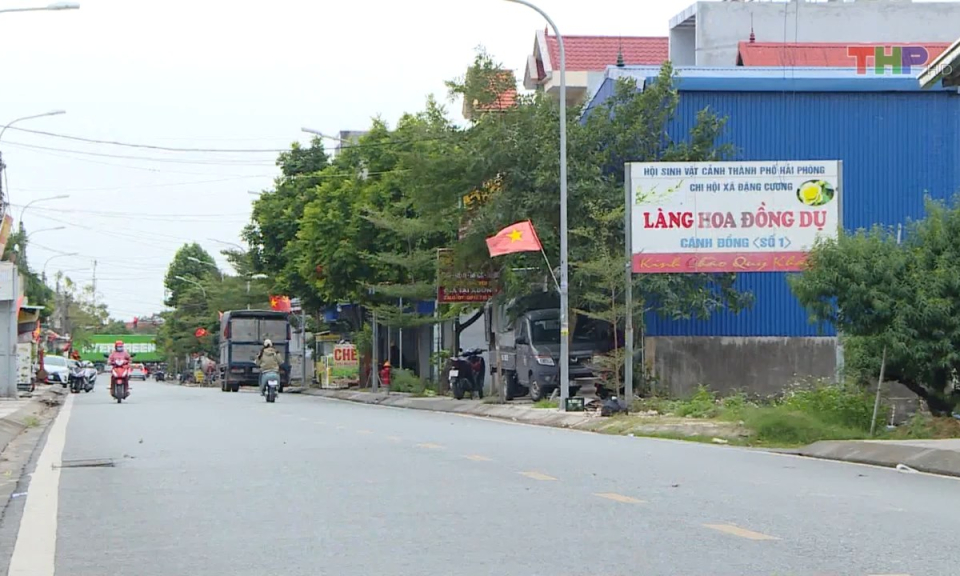 Bản tin Hải Ph&ograve;ng h&ocirc;m nay trưa (21/11/2023)