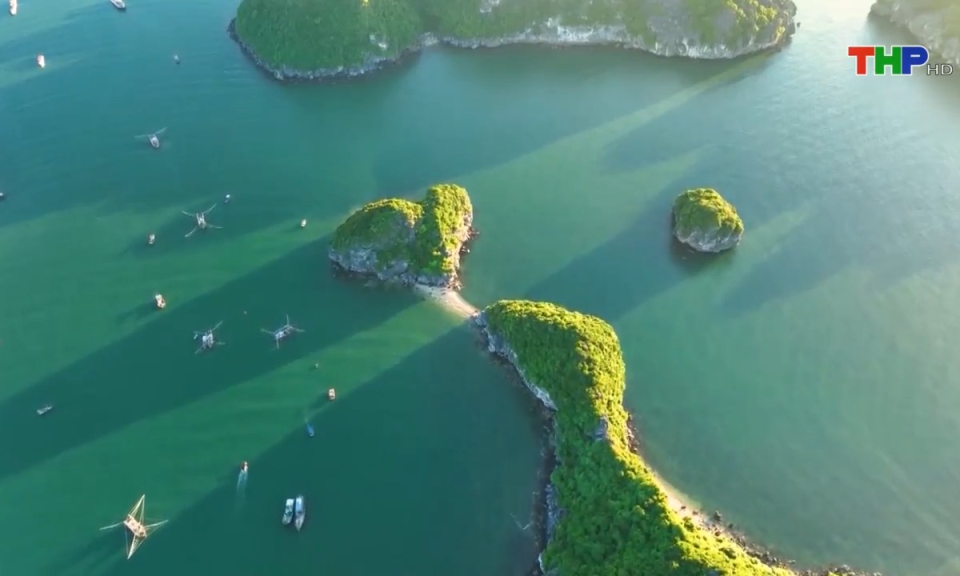 Bản tin tiếng Anh (22/11/2023)