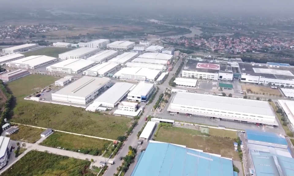 Bản tin Hải Ph&ograve;ng h&ocirc;m nay trưa (24/11/2023)