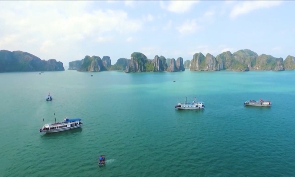 Bản tin thời sự Hải Ph&ograve;ng bằng tiếng Anh (28/11/2023)