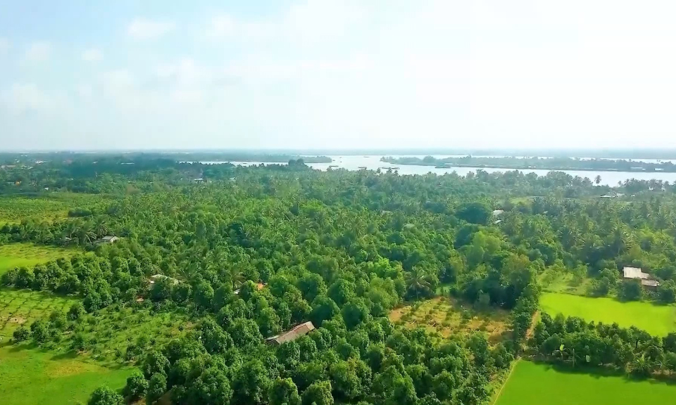 Bản tin thời sự s&aacute;ng (30/11/2023)