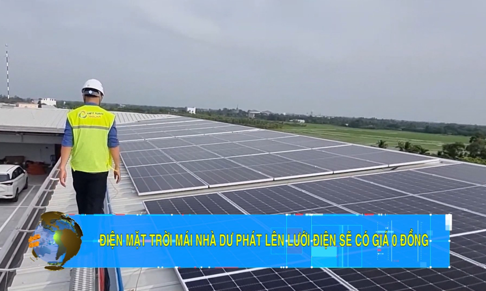 Bản tin Hải Ph&ograve;ng h&ocirc;m nay trưa (09/12/2023)