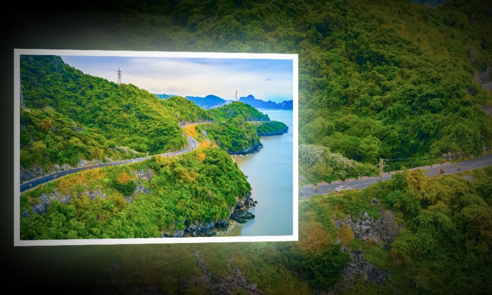 Hải Ph&ograve;ng văn h&oacute;a v&agrave; sự kiện: Ảnh nghệ thuật Hải Ph&ograve;ng  