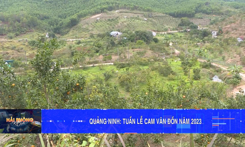 Bản tin Hải Ph&ograve;ng kết nối (09/12/2023)