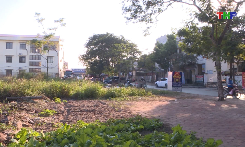 Quận Hồng B&agrave;ng đấu gi&aacute; quyền sử dụng đất 