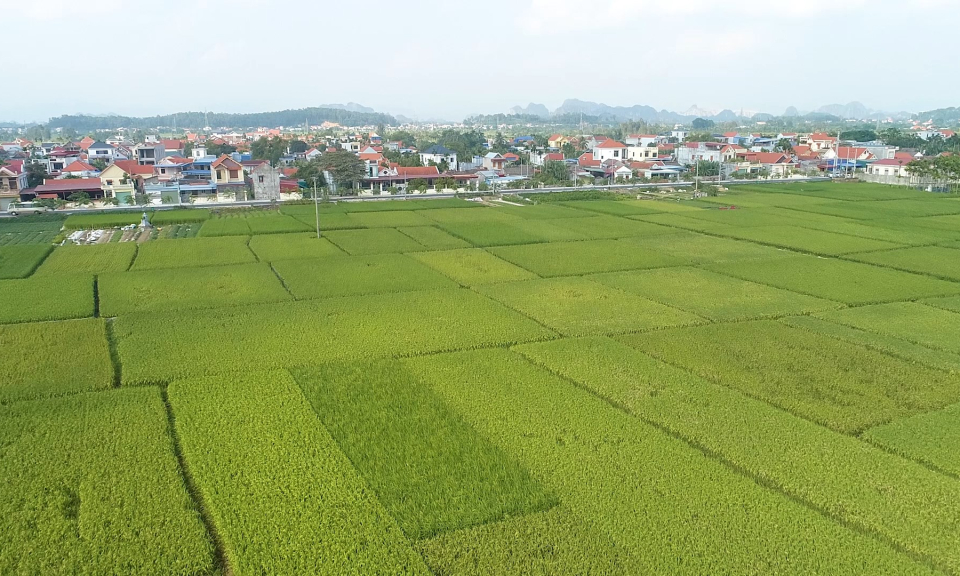 Kinh tế v&agrave; đ&ocirc; thị: Kinh tế tập thể một năm nh&igrave;n lại  